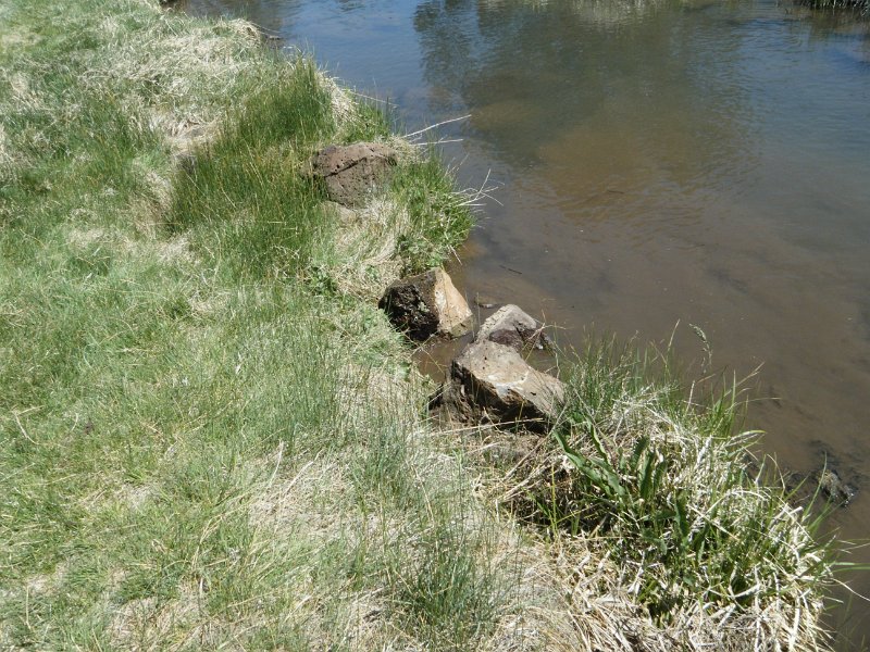 Silver Creek Restoration April