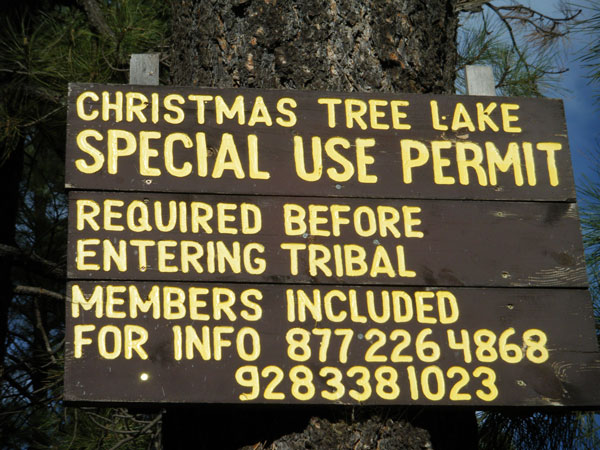 Christmas Tree Lake Outing